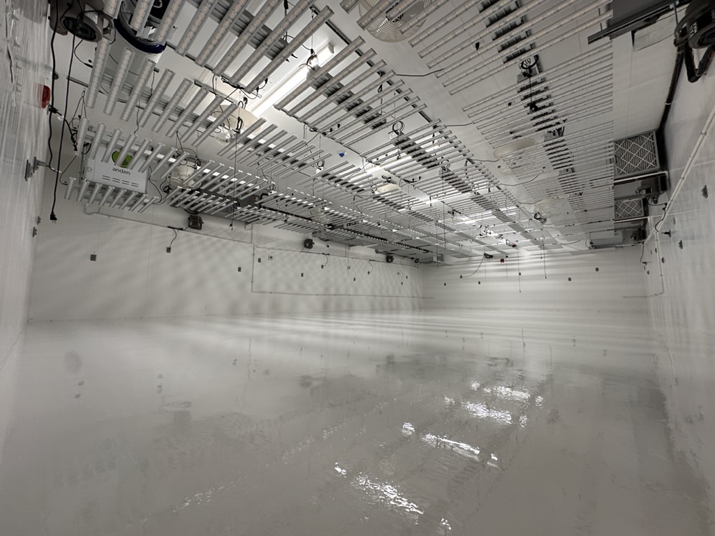 CE92B976-074E-4D25-9ED0-1087E642D3D0_1_105_c